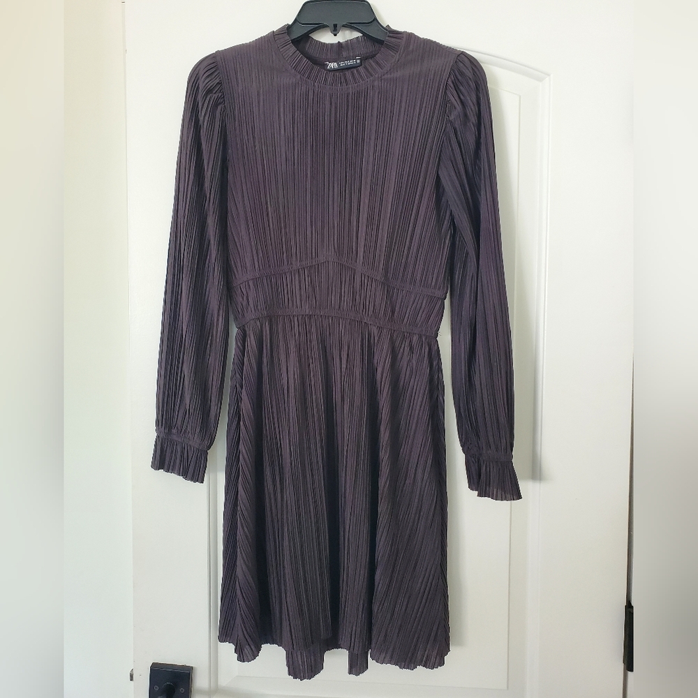 Zara Women’s Crinkle Pleated Dress